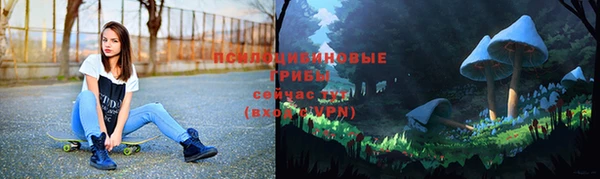 дмт Баксан