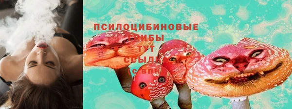 дмт Баксан