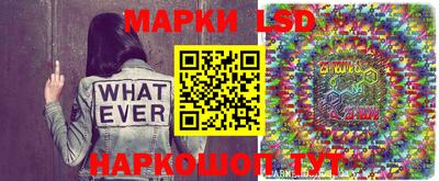 jwh Брянск