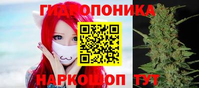 гидра Братск