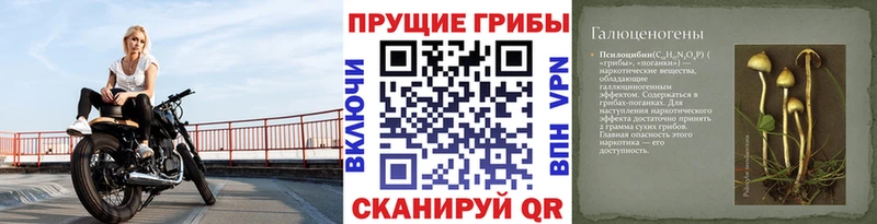Псилоцибиновые грибы прущие грибы  Борисоглебск 