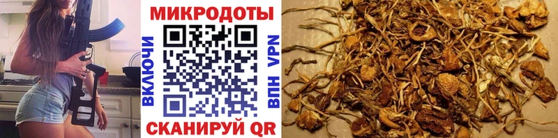 Галлюциногенные грибы мухоморы Борисоглебск